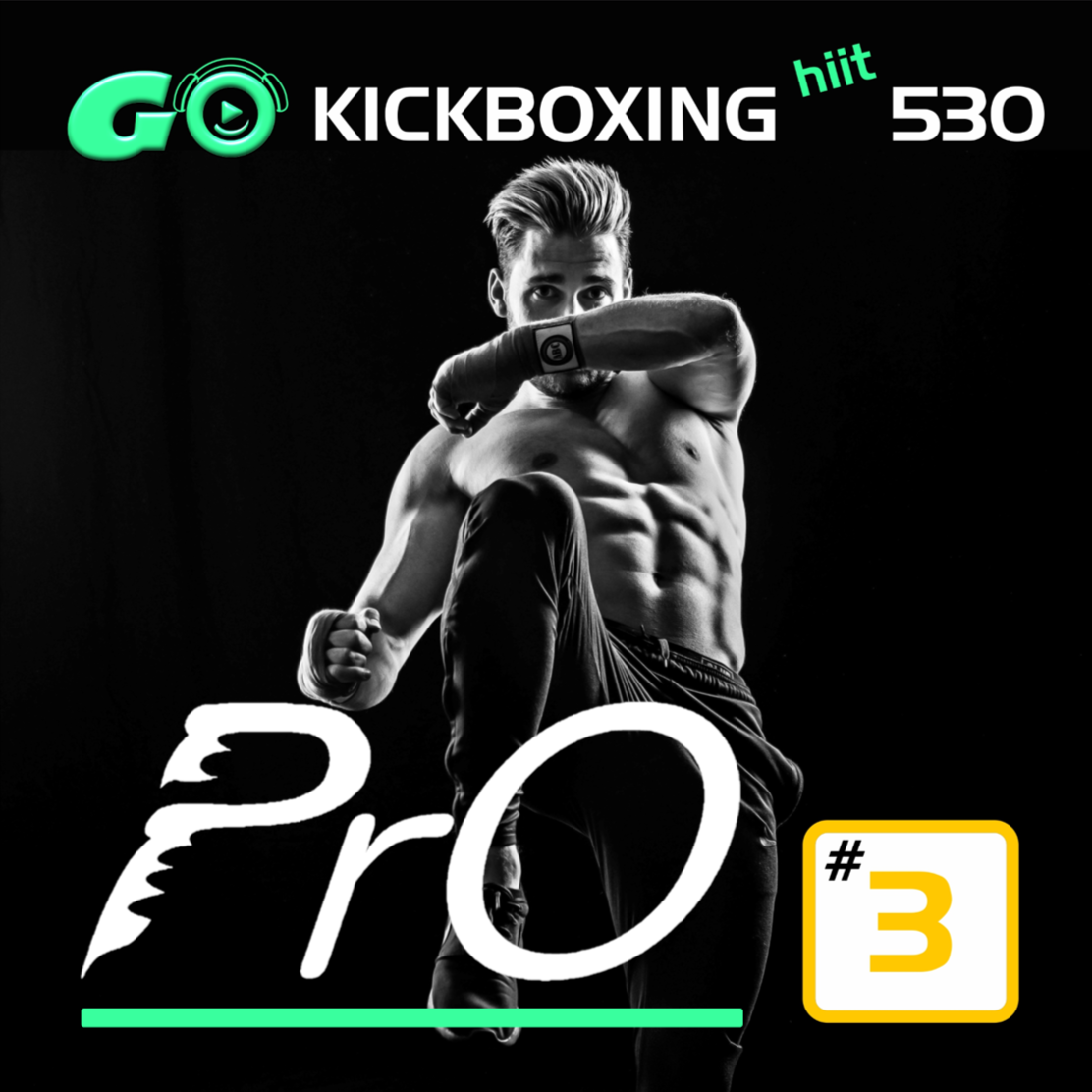 GO KICKBOXING hiit PrO 530 #3