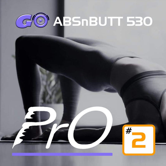 GO ABSnBUTT PrO 530 #2