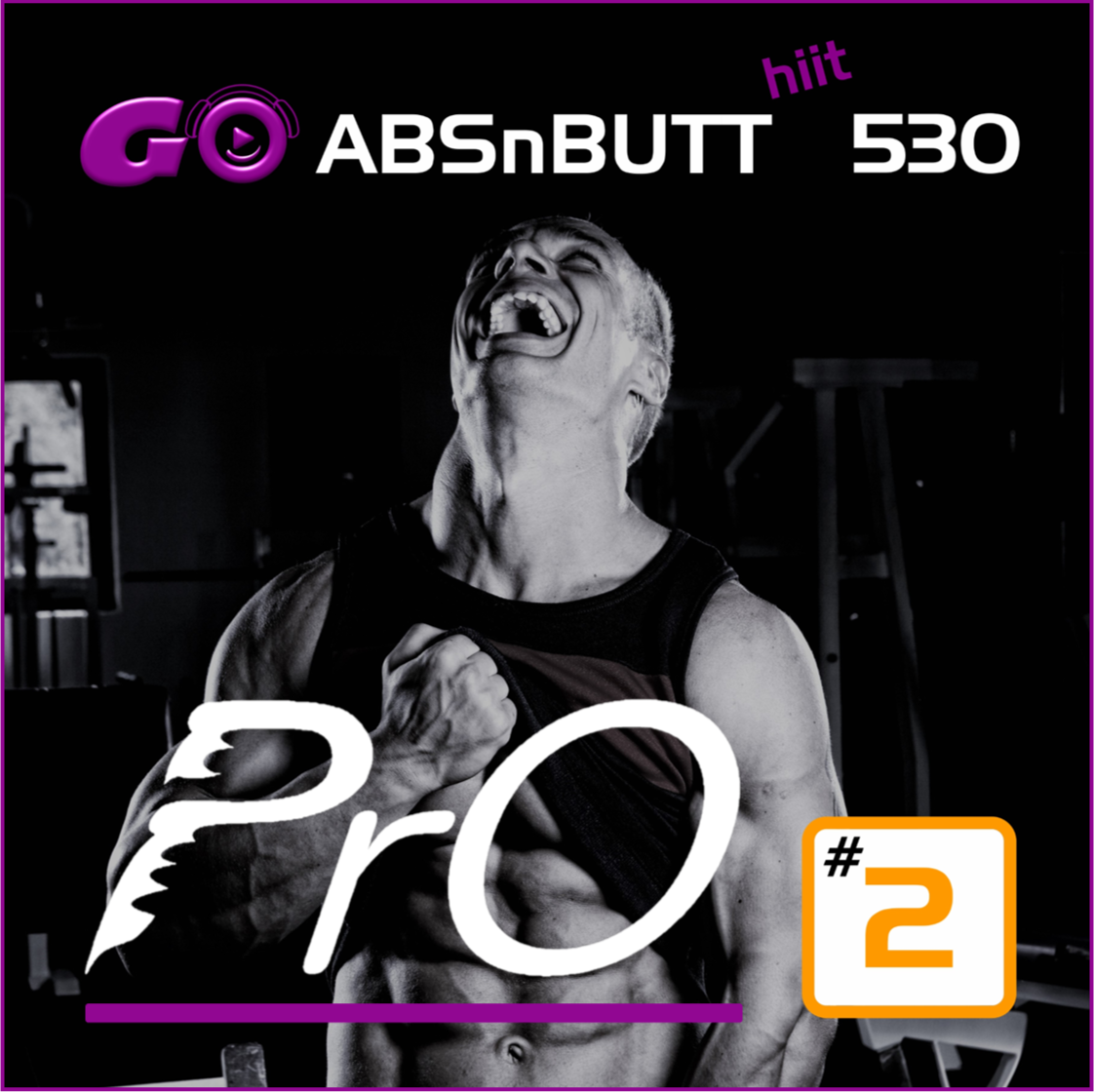 GO ABSnBUTT hiit PrO 530 #2