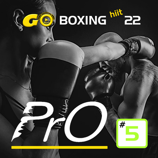 GO BOXING hiit PrO 22 #5