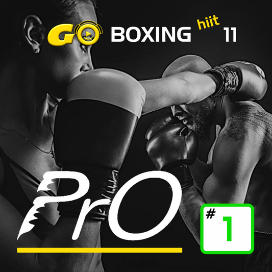 GO BOXING hiit PrO 11 #1