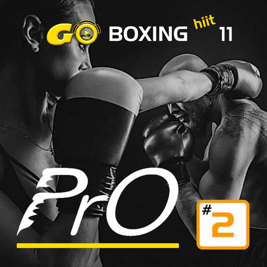 GO BOXING hiit PrO 11 #2