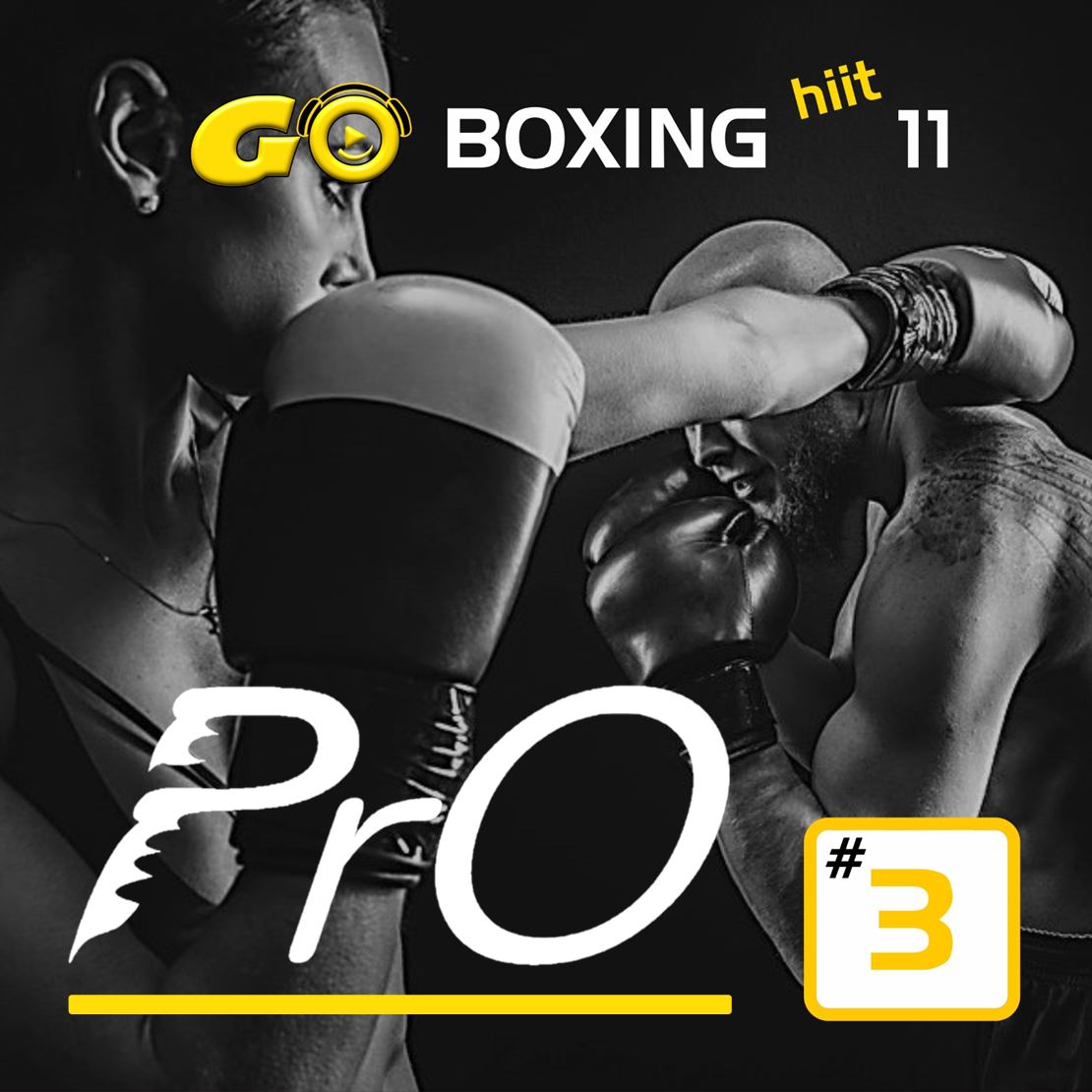 GO BOXING hiit PrO 11 #3