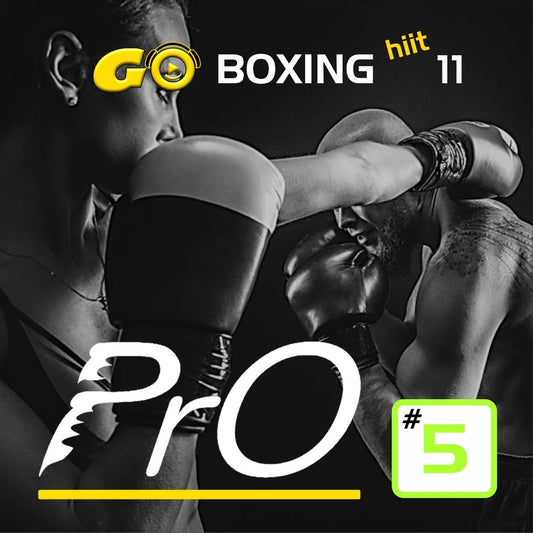 GO BOXING hiit PrO 11 #5