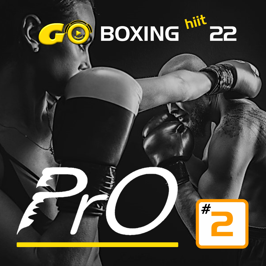 GO BOXING hiit PrO 22 #2