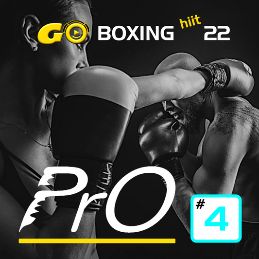 GO BOXING hiit PrO 22 #4