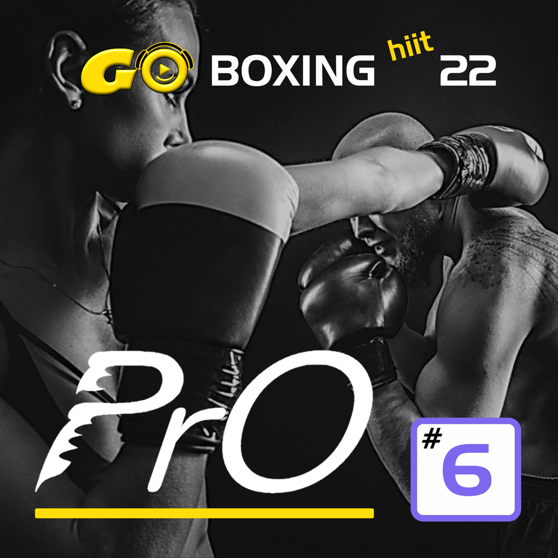 GO BOXING hiit PrO 22 #6