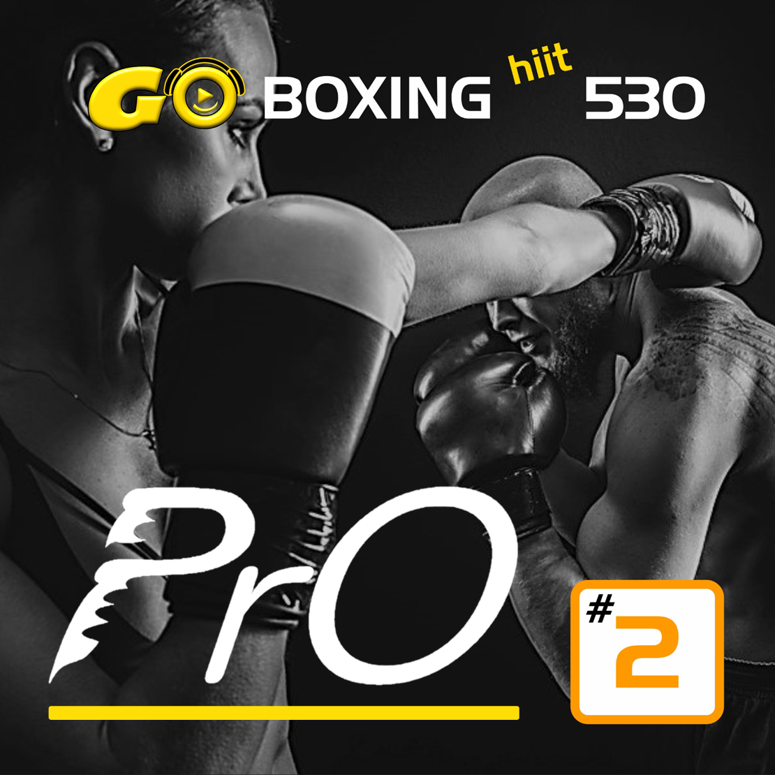 GO BOXING hiit PrO 530 #2