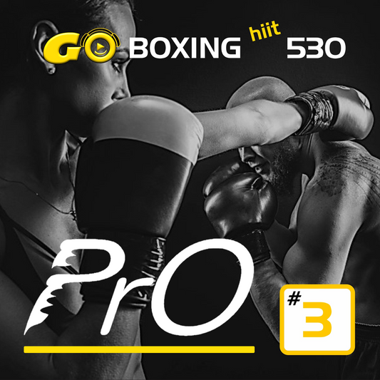 GO BOXING hiit PrO 530 #3