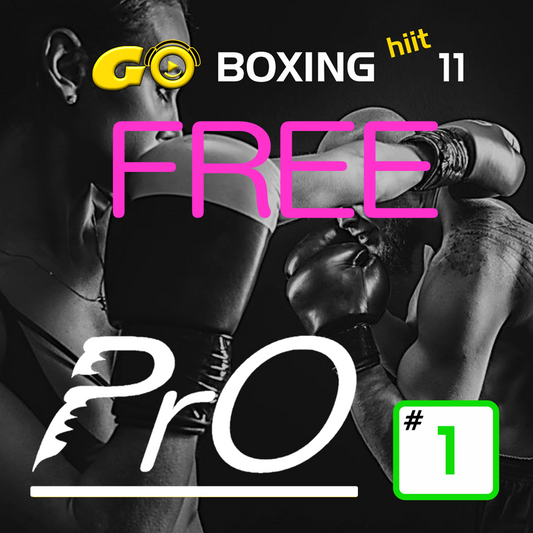 FREE GO BOXING PrO 11 #1