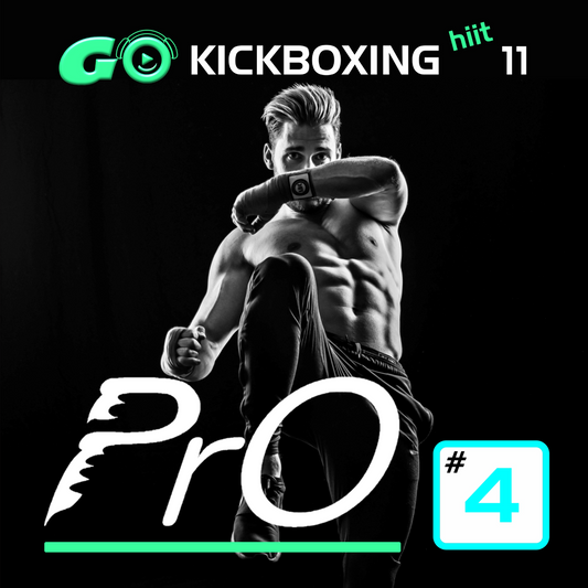 GO KICKBOXING hiit PrO 11 #4