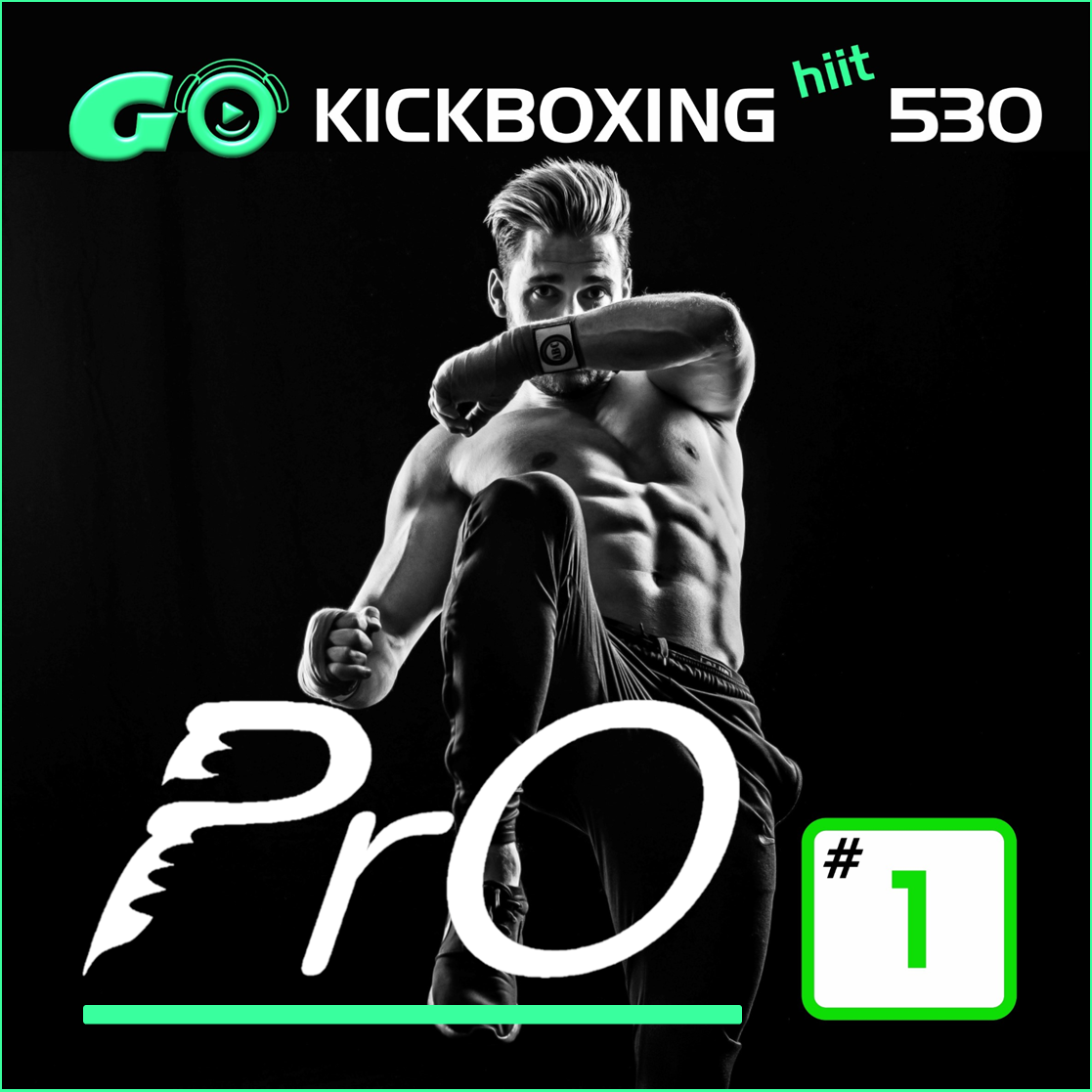 GO KICKBOXING hiit PrO 530 #1