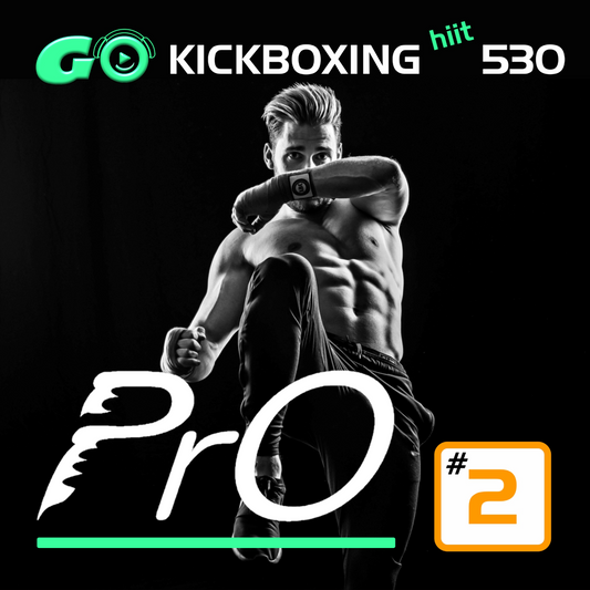 GO KICKBOXING hiit PrO 530 #2