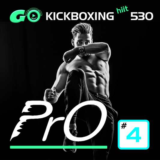 GO KICKBOXING hiit PrO 530 #4