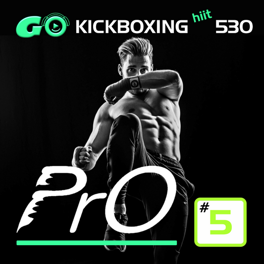 GO KICKBOXING hiit PrO 530 #5