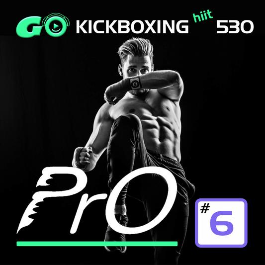 GO KICKBOXING hiit PrO 530 #6