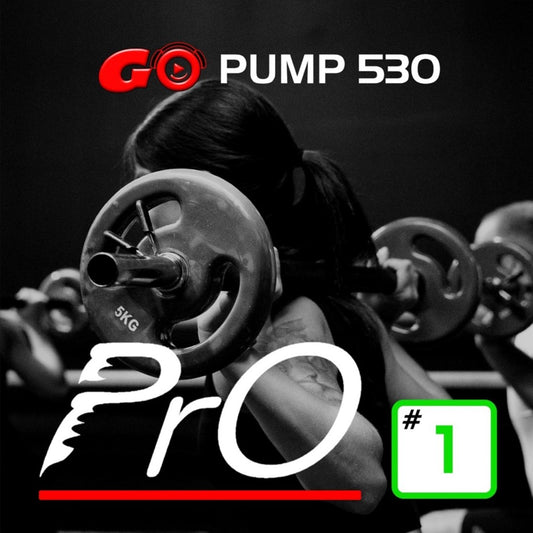 GO PUMP PrO 530 #1