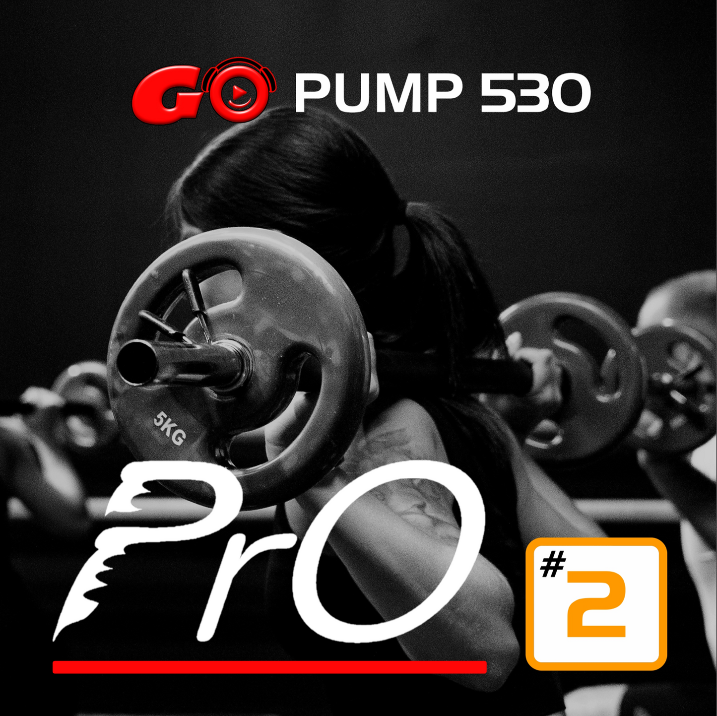 GO PUMP PrO 530 #2