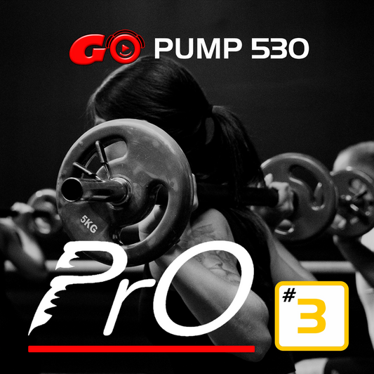 GO PUMP PrO 530 #3