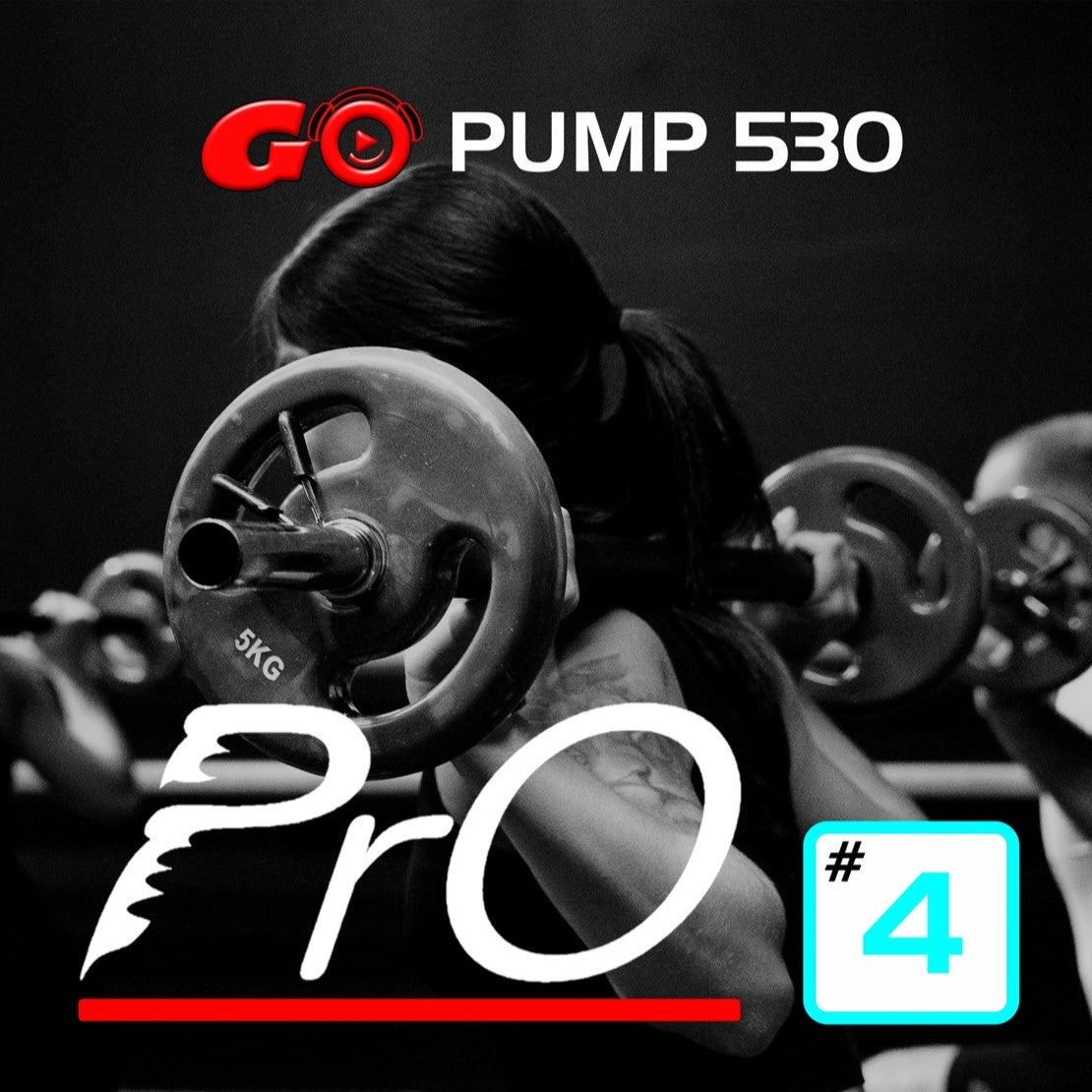 GO PUMP PrO 530 #4