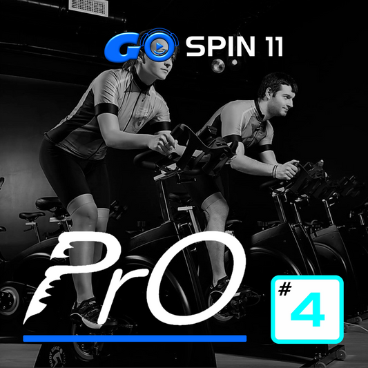 GO SPIN PrO 11 #4