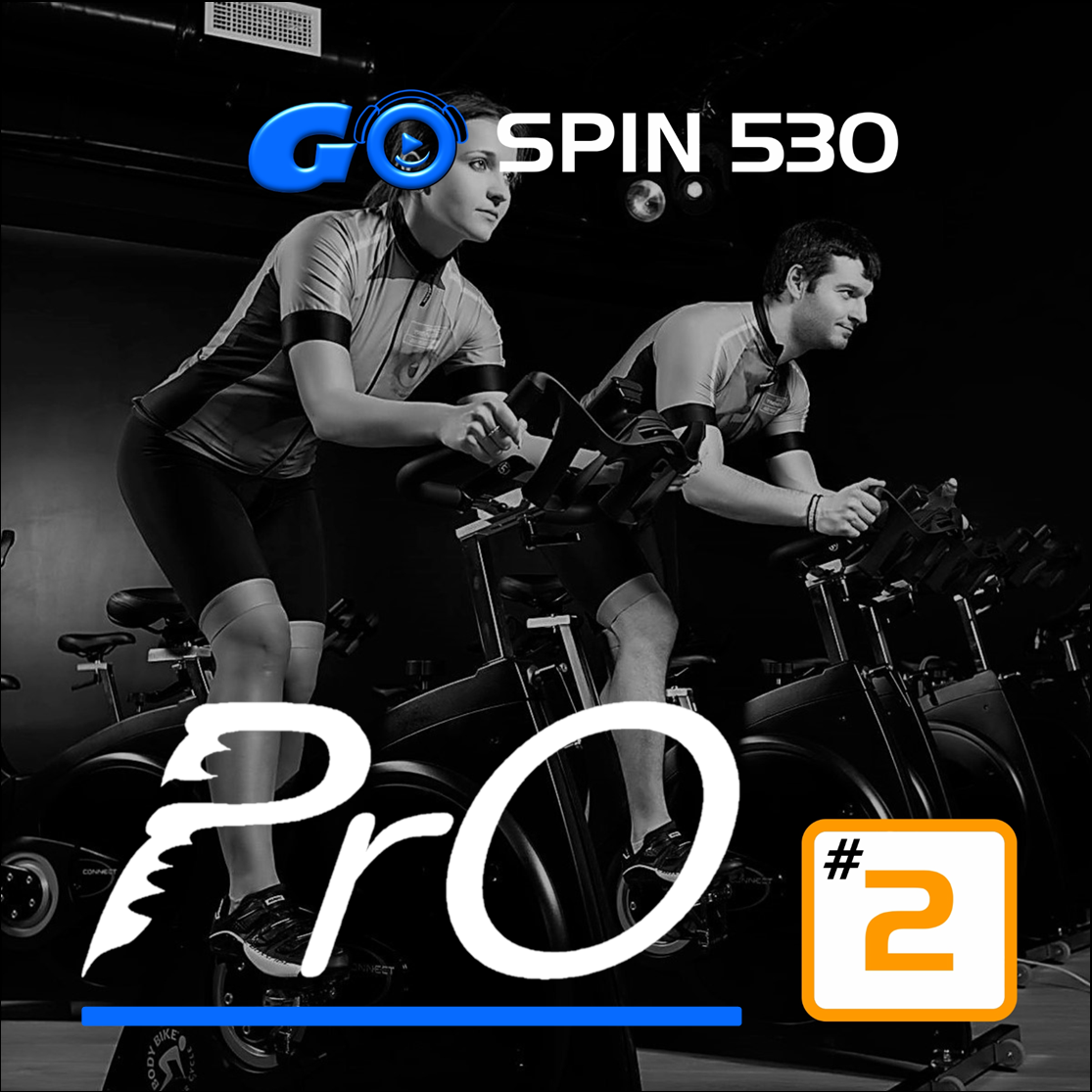 GO SPIN PrO 530 #2