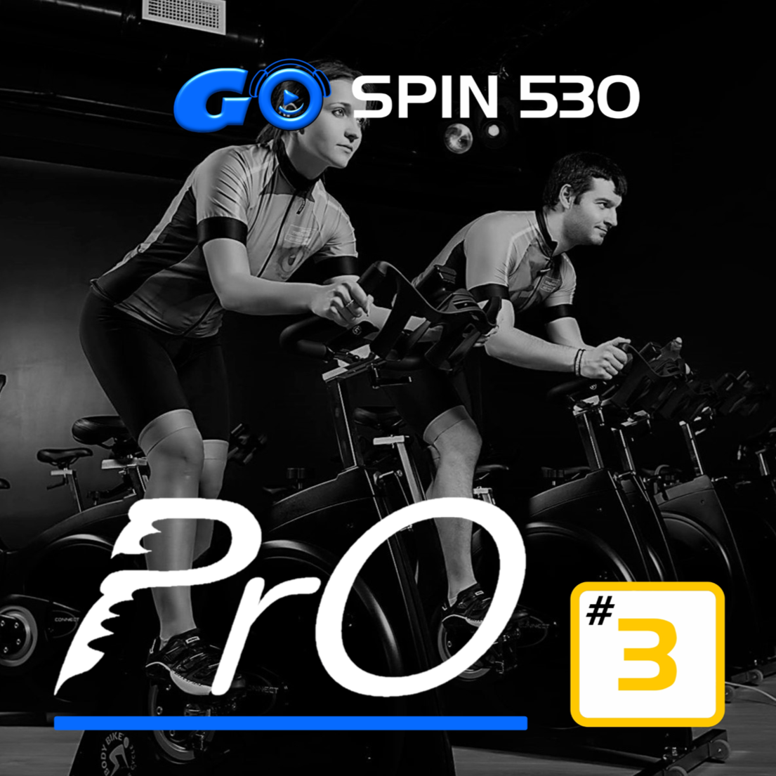 GO SPIN PrO 530 #3