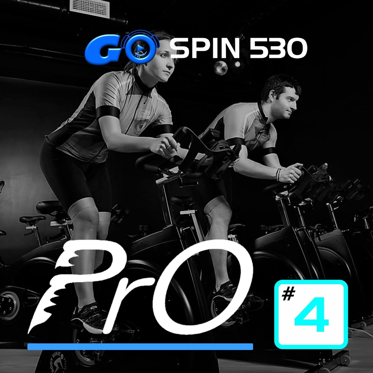 GO SPIN PrO 530 #4