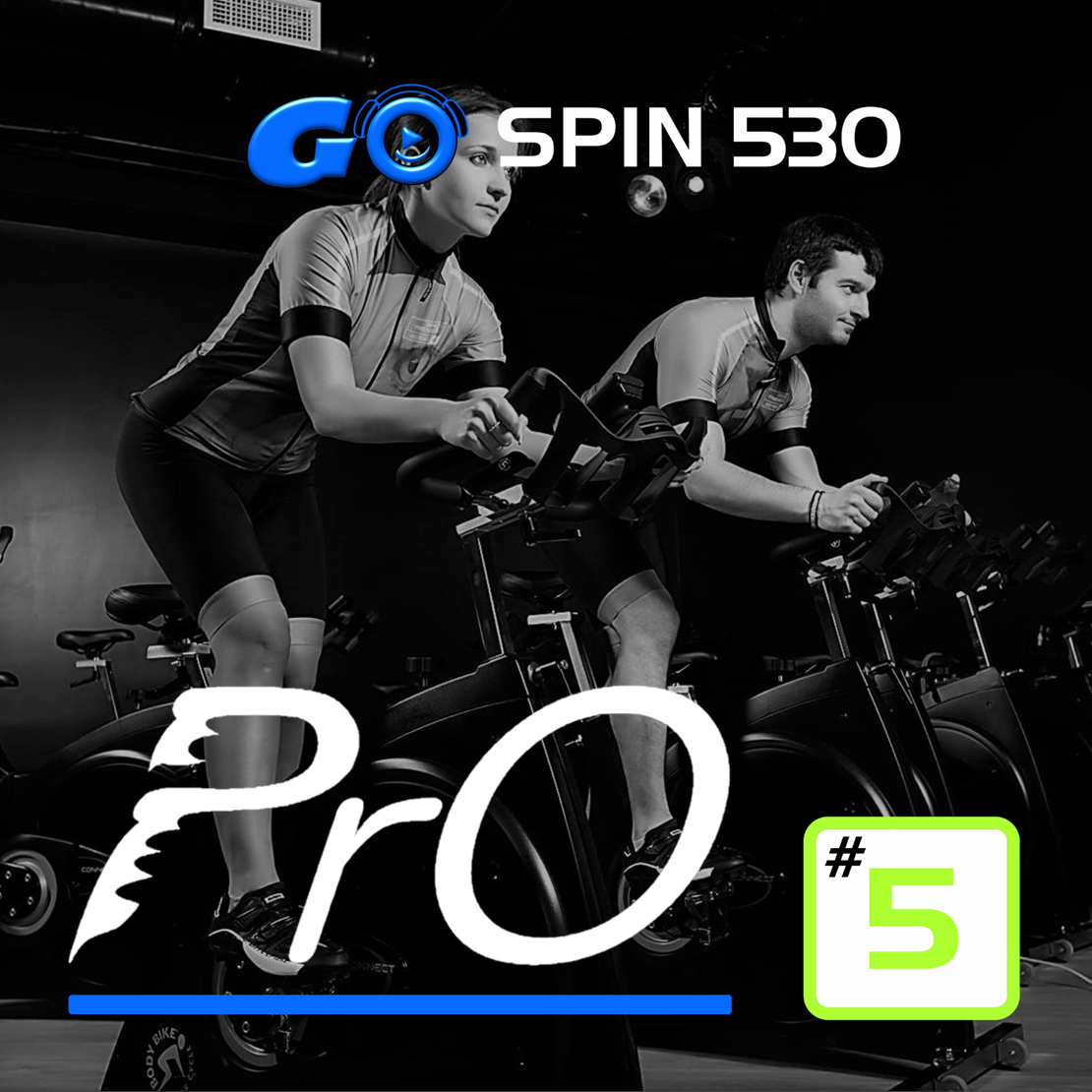 GO SPIN PrO 530 #5