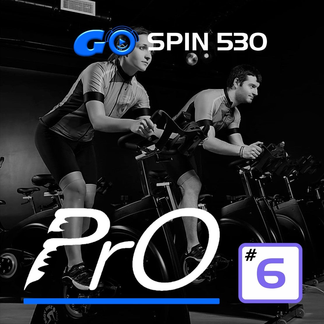 GO SPIN PrO 530 #6