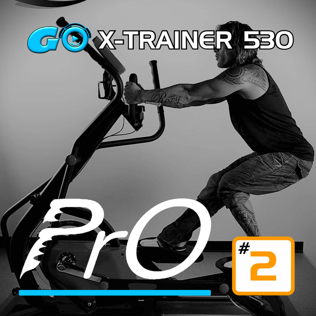 GO X-TRAINER (Elliptical) PrO 530 #2