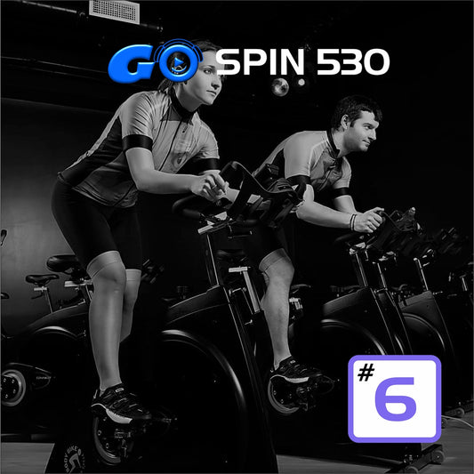 GO SPIN 530 #6