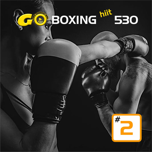 GO BOXING hiit 530 #2