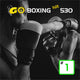 GO BOXING hiit 530 #1