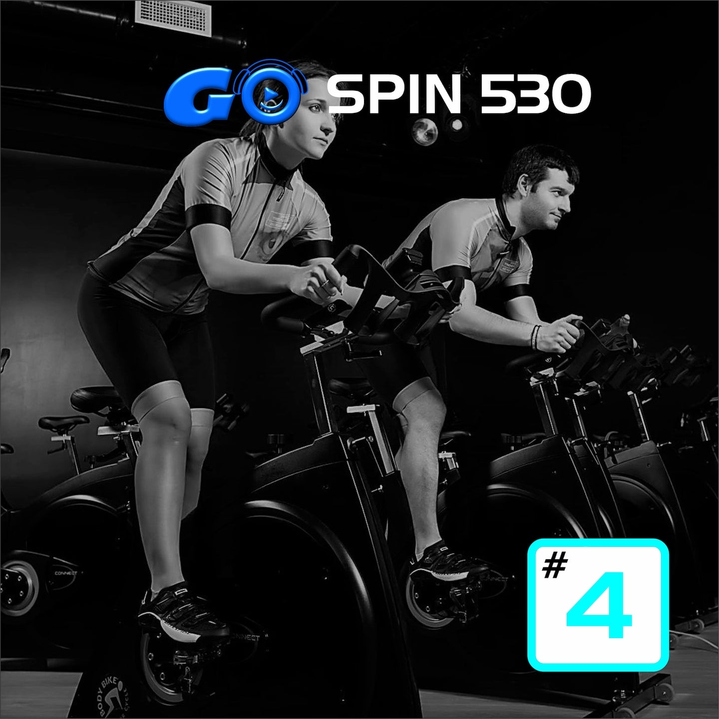 GO SPIN 530 #4